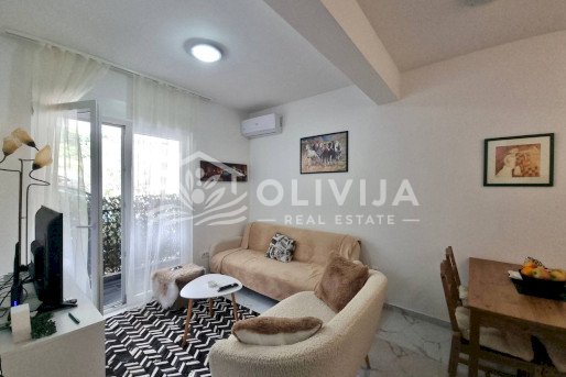 Cozy one-bedroom apartment in Budva